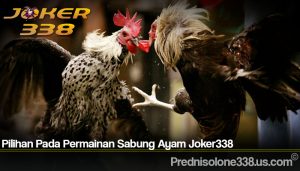 Pilihan Pada Permainan Sabung Ayam Joker338